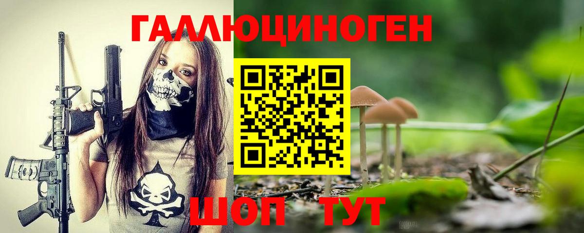 Ртищево  наркота  Псилоцибиновые грибы Psilocybe  Вход с VPN  Псилоцибиновые грибы Psilocybe 